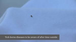 Lyme disease cases climb in Quebec, with more towns in endemic zone