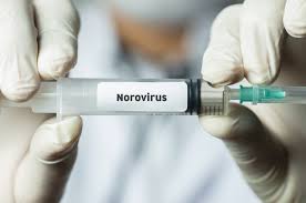 Sick of the stomach bug? Moderna is making a norovirus vaccine