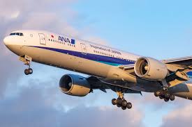 Passenger restrained after trying to open plane exit door mid-flight
