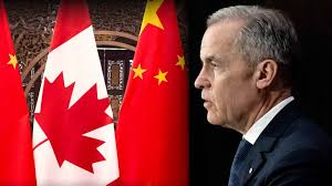 Canada, China to regularize communication after Carney, Li talks