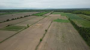 Quebec farmers expected to face heavy storms, hot and humid weather this summer