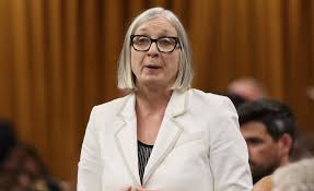 Airline sector work probe expected to wrap by December, minister says